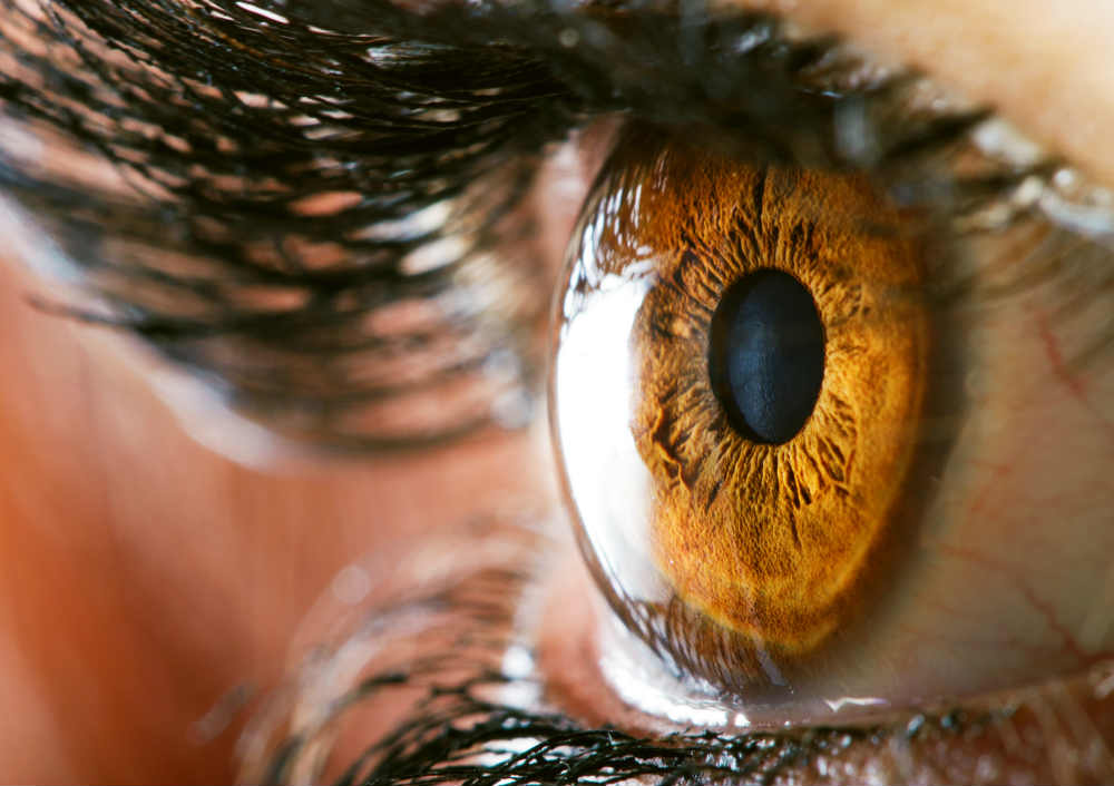 Itt ellenőrizheti látását! | Trophosan – hatásos összetétel makula degeneráció ellen