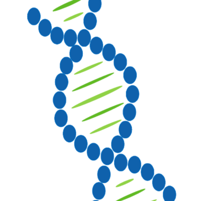DNS alapú speciális genetikai vizsgálat